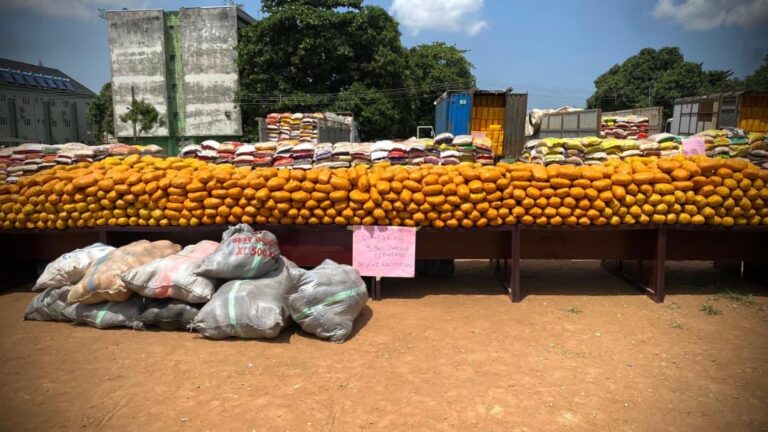 Customs intercepts N3.24bn worth of hard drugs, elephant tusks, others