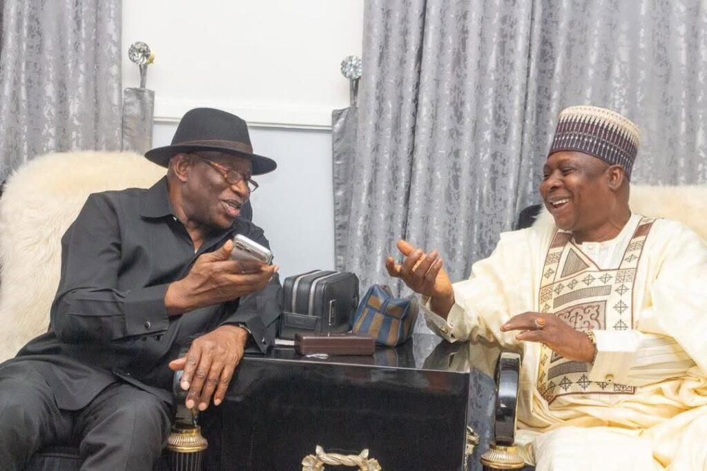 Disavow Turaki faction, PDP chairmen urge Jonathan
