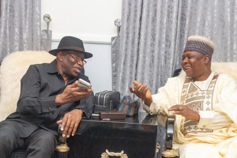 Disavow Turaki faction, PDP chairmen urge Jonathan