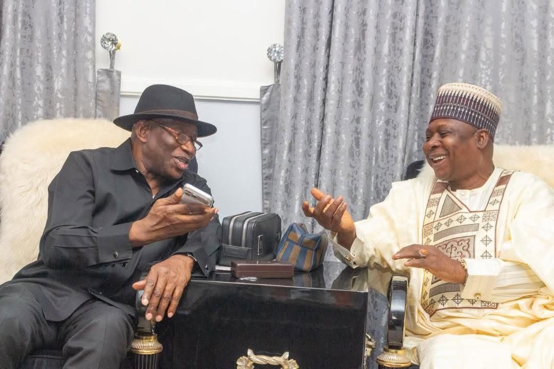 Disavow Turaki faction, PDP chairmen urge Jonathan