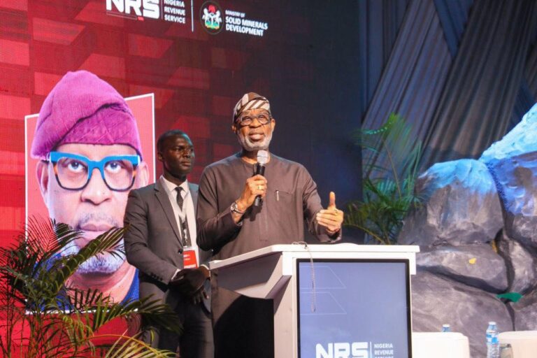 Minister of Solid Minerals Development Dr Dele Alake