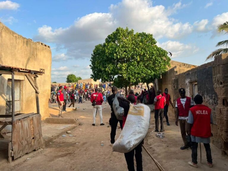 Kano: NDLEA arrests 80 suspects, dismantles 16 drug joints