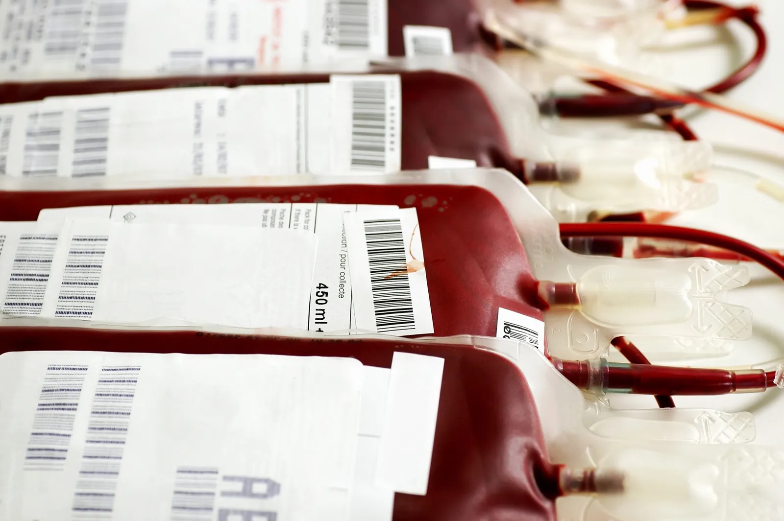 Blood