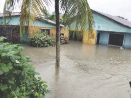 Flood