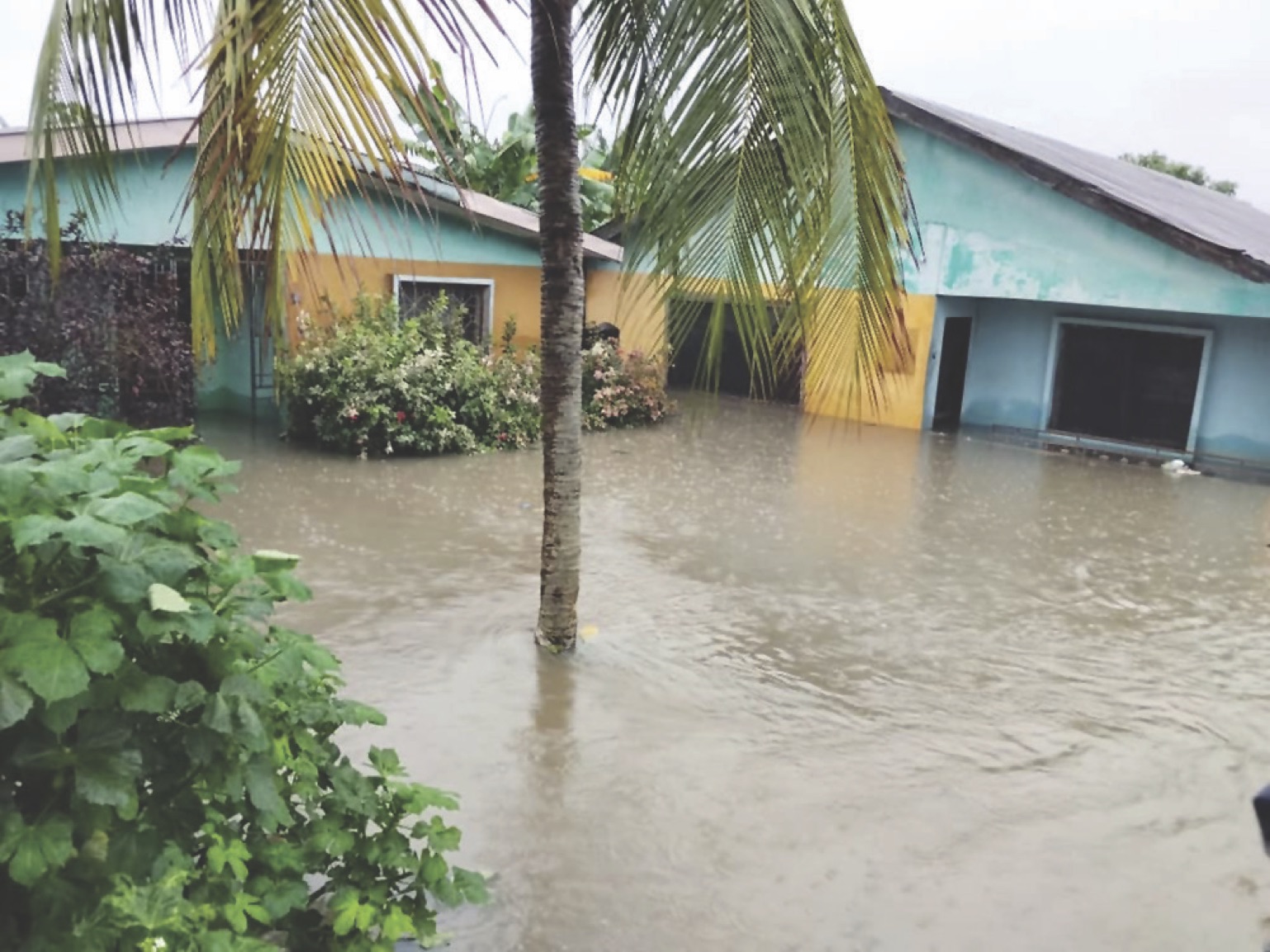 Flood