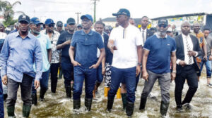 Government officials cleaning the environment