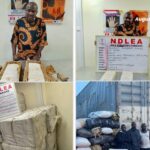 NDLEA seizes N6.2bn worth of drugs at Lagos airport