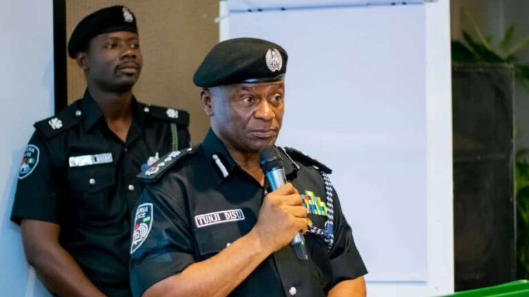 IGP Disu: Laughing, filming mob killings won’t shield you from prosecution