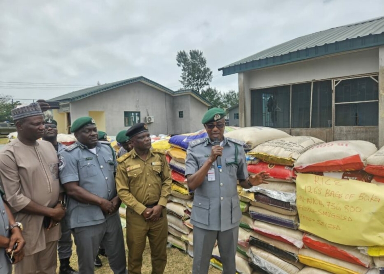 Seme Customs arrests 2 suspects, intercepts 3,300 explosive cartridges, expired foods