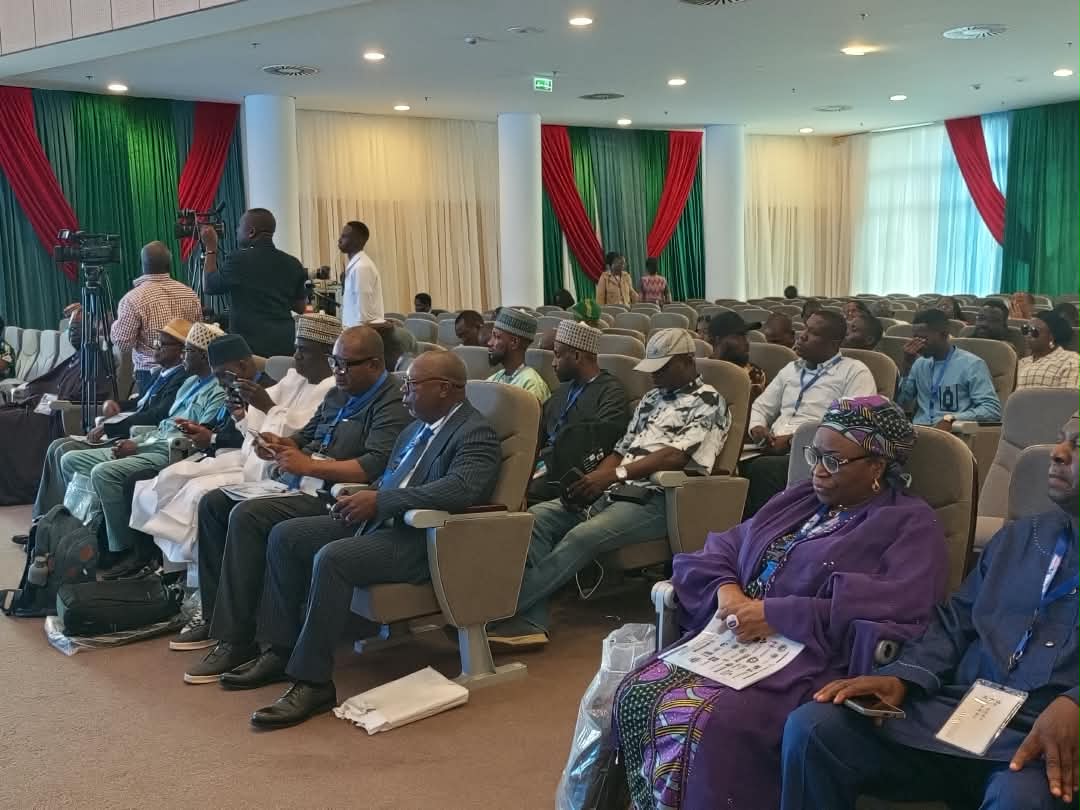 FG moves to unlock mineral wealth with adequate geoscientific data, skills