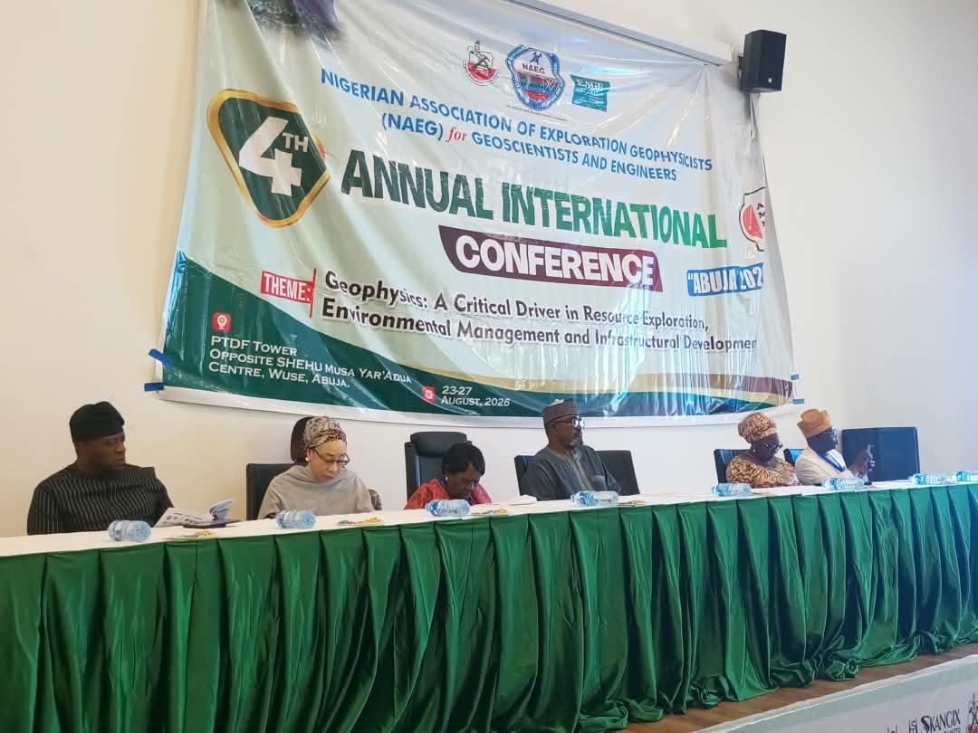 FG moves to unlock mineral wealth with adequate geoscientific data, skills
