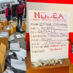 101-year-old great-grandmother arrested as NDLEA busts cocaine-in-fufu racket