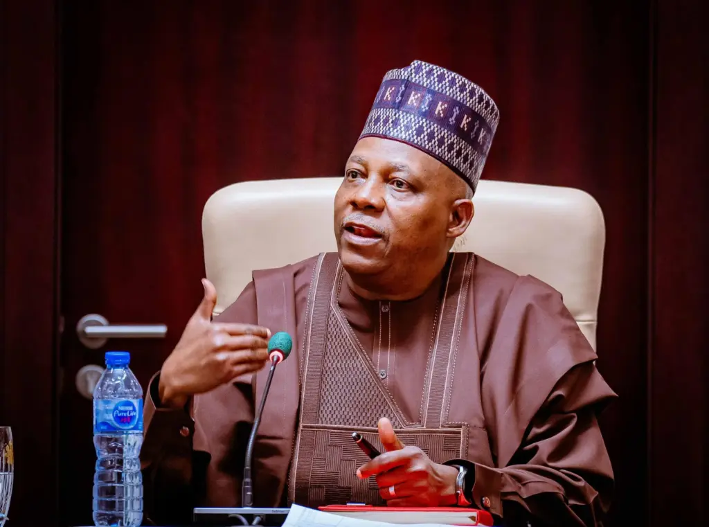 Vice President Kashim Shettima