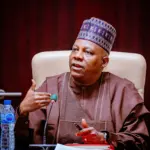 Vice President Kashim Shettima