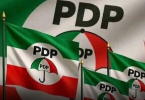 PDP PDP