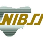 NIBSS