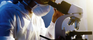 Photo- Google.com