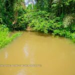 Polluted stream being the source of drinking water for 6 communities in OrukAnam LGA ,Akwa Ibom state