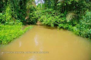 Polluted stream being the source of drinking water for 6 communities in OrukAnam LGA ,Akwa Ibom state