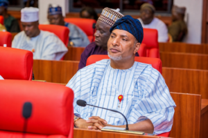 Senator Saliu Mustapha