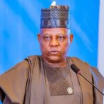 Vice President Kashim Shettima