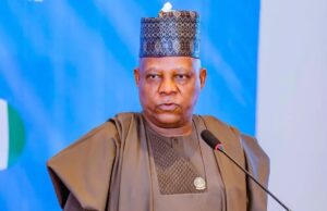 Vice President Kashim Shettima
