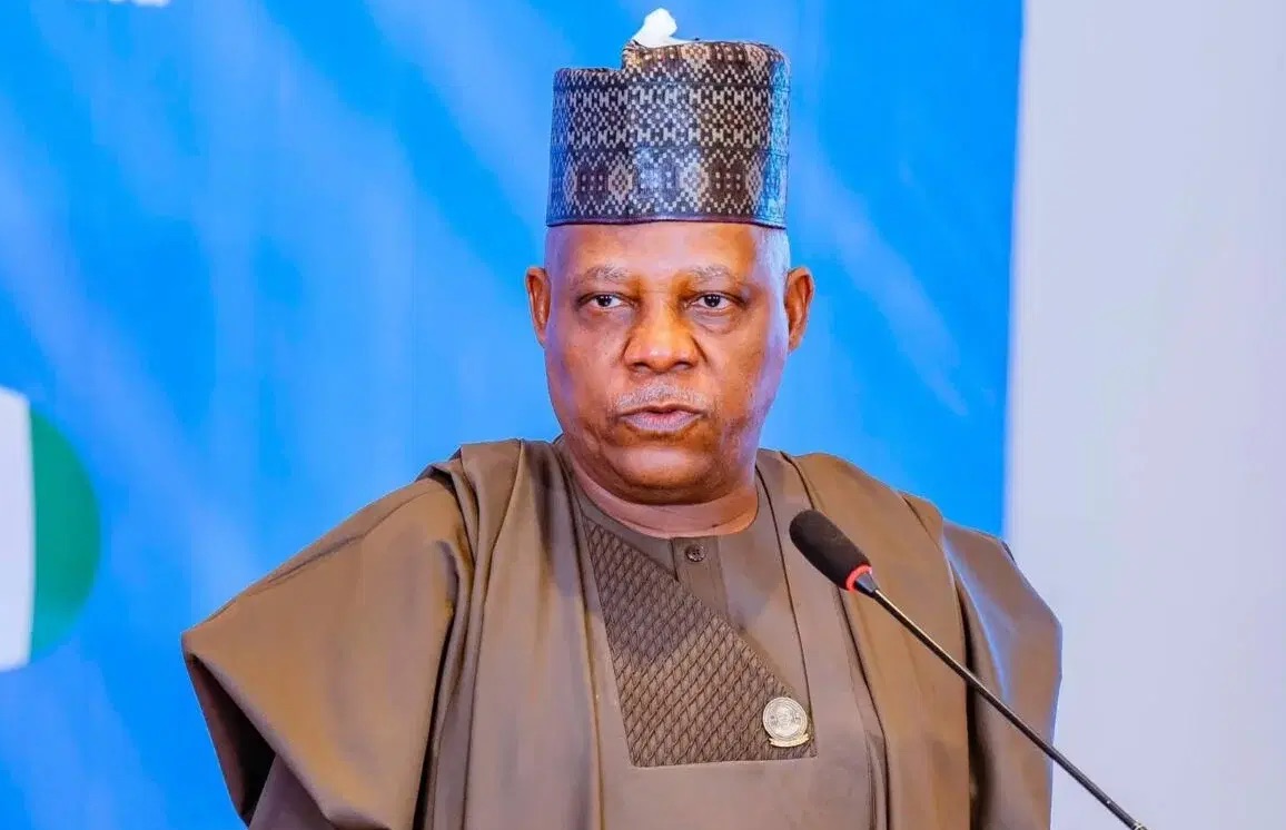 Vice President Kashim Shettima