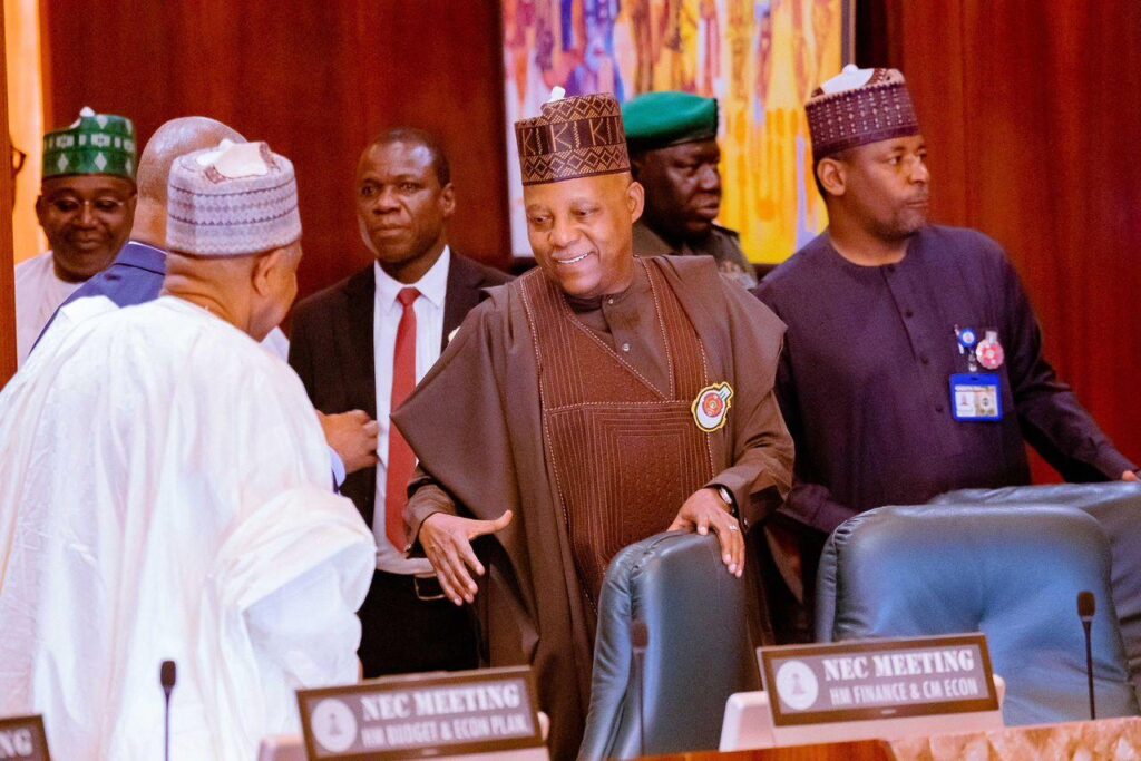 Vice President Kashim Shettima