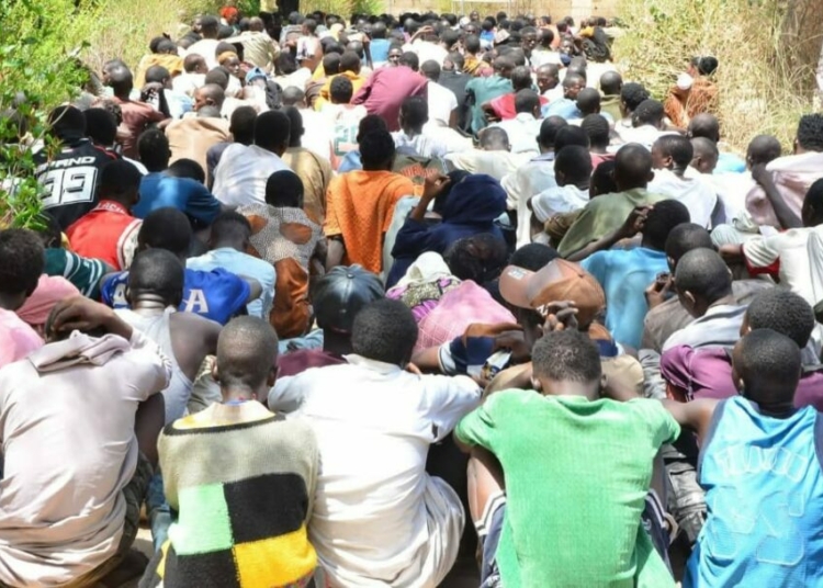 Kano to detoxify, rehabilitate, reintegrate 10,000 drug offenders