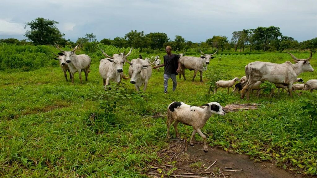 grazing