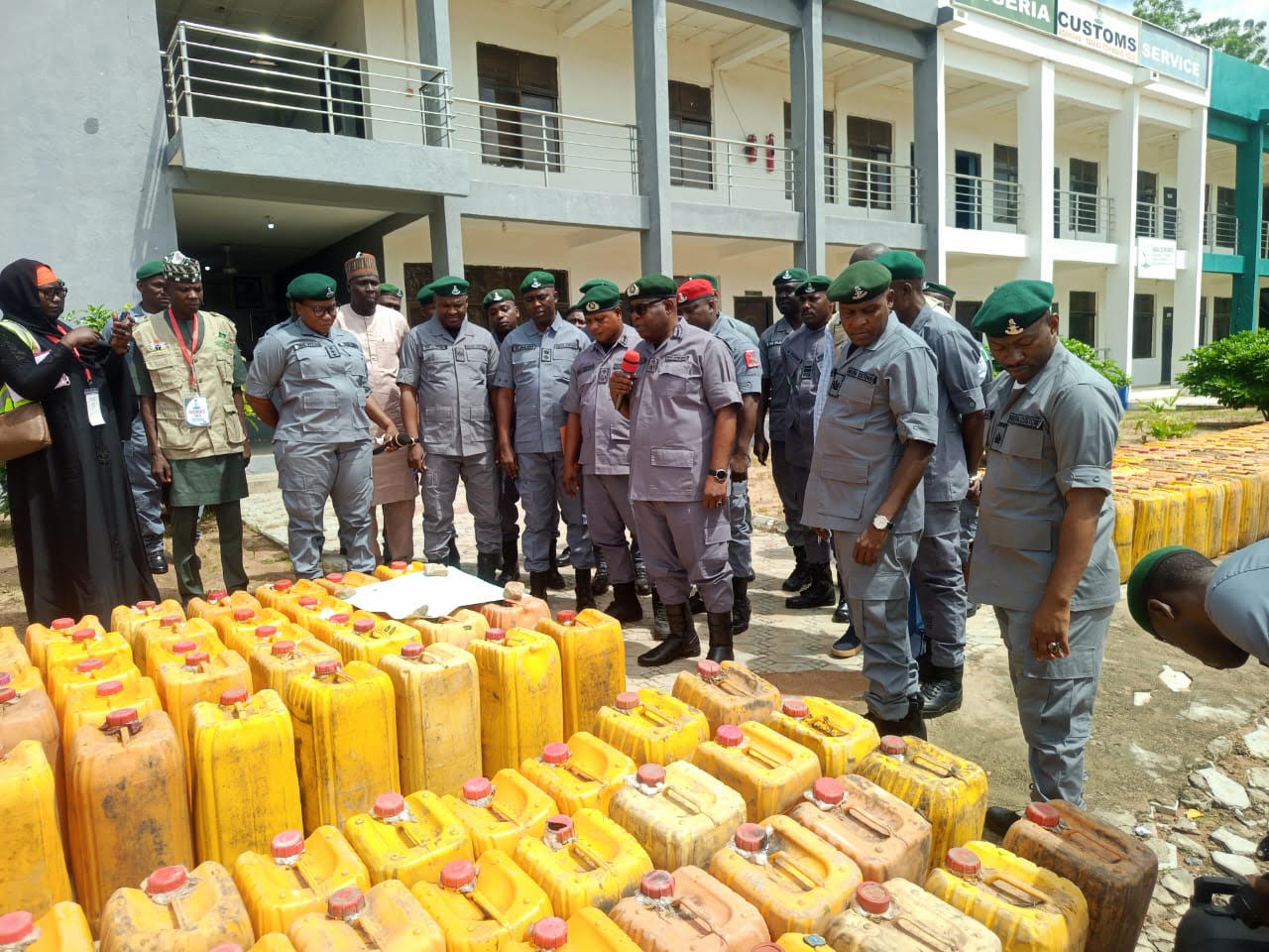 Adamawa: Customs seize pangolin scales, elephant tusks, donkey skins worth ₦362.2m