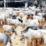 • Livestock farm